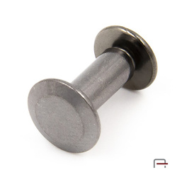 Screw 10 mm gun 52010900