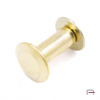 Screw 10 mm gold 5201050