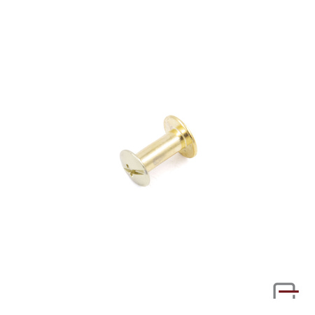 Screw 10 mm gold 5201050