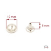 Convex rivets 10x8x8 3900410