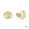 Two-sided Rivet L8/8/8/50 gold