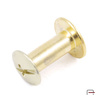 Screw 10 mm gold 5201050