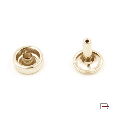 Flat rivets 10x10x10 3903553