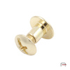 Screw 5 mm gold 52005500