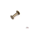 Screw 15 mm old brass 5201520