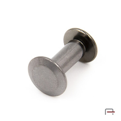 Screw 10 mm gun 52010900