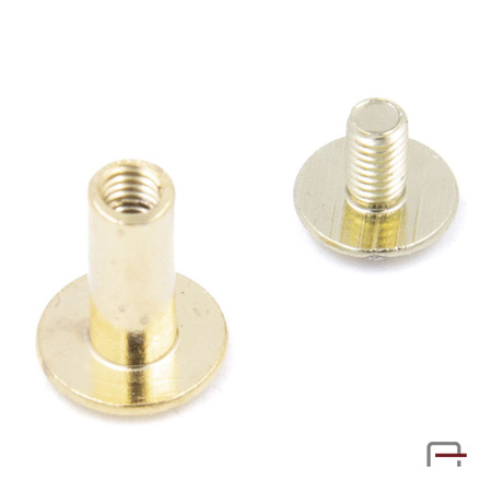 Screw 10 mm gold 5201050
