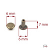 One-sided Rivet 6/6/7/20 old brass