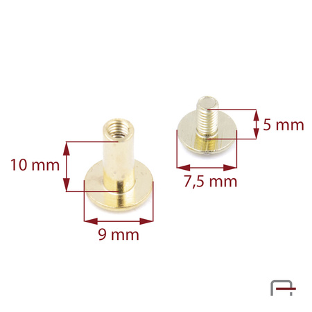 Screw 10 mm gold 5201050