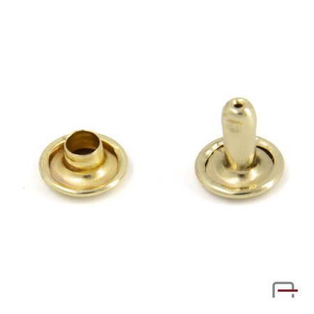 Two-sided Rivet L8/8/8/50 gold